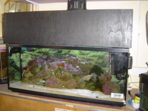 bac-eau-de-mer-0021